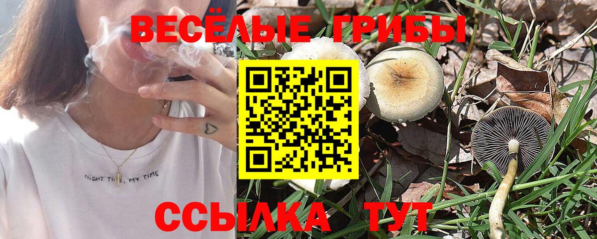 Галлюциногенные грибы прущие грибы  Галлюциногенные грибы MAGIC MUSHROOMS  Вход с VPN  Горно-Алтайск 