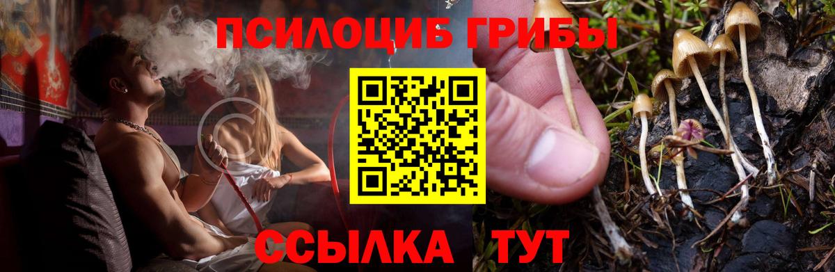 Псилоцибиновые грибы GOLDEN TEACHER Горно-Алтайск