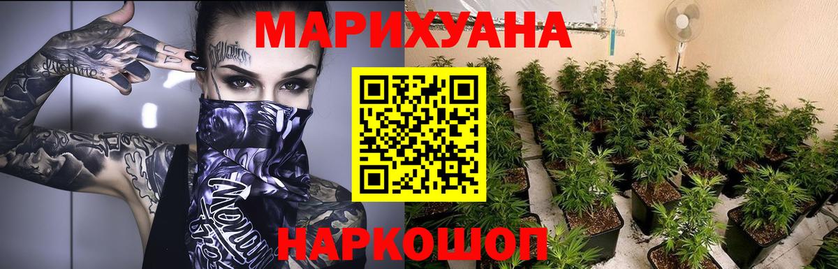 Конопля гибрид  Шишки марихуана планчик  МАРИХУАНА марихуана  Вход с VPN  Горно-Алтайск  Бошки Шишки марихуана 